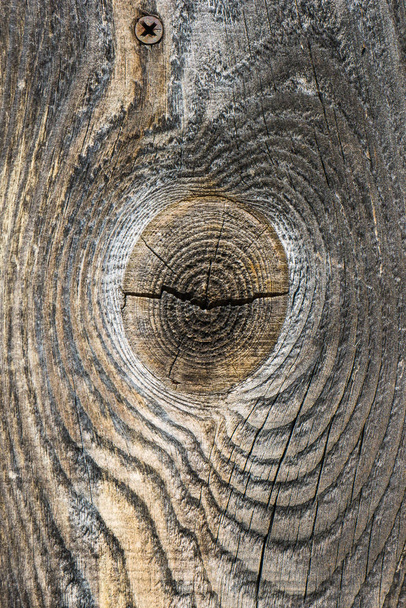 Close up of grey wooden planks with crackes and natural wooden pattern rings. Abstract texture background - Fotoğraf, Görsel