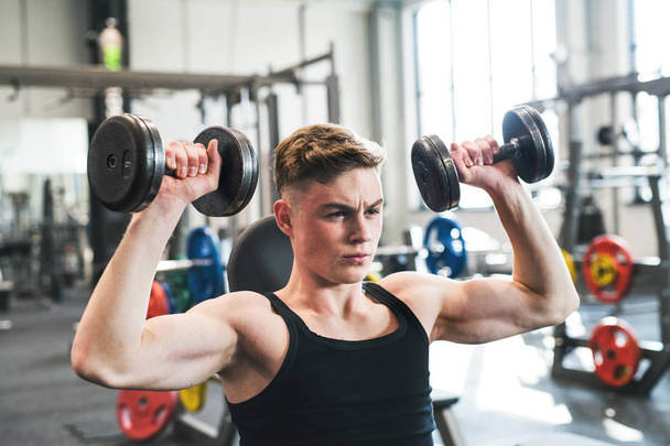 Young fit man in gym exercising with dumbbells. - Foto, immagini