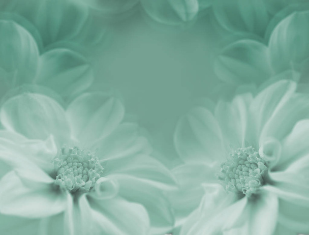 Floral verde-blanco hermoso fondo. Flores grandes de dalia sobre un fondo blanco borroso. Primer plano. Naturaleza
. - Foto, imagen