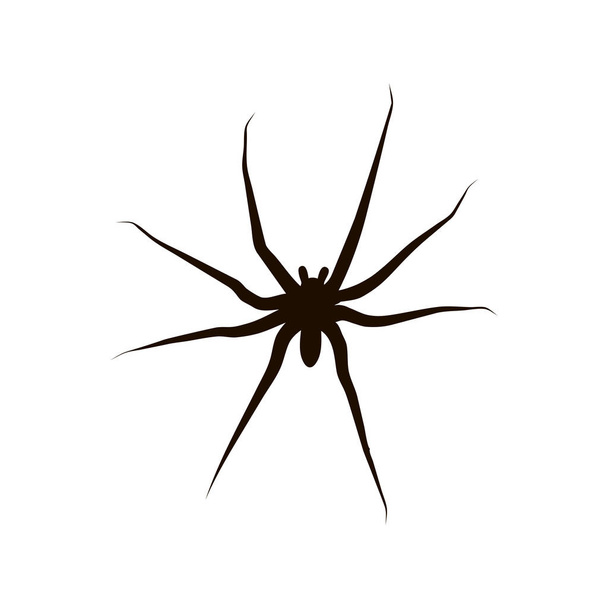 Αράχνη μαύρη σιλουέτα. Εικονίδιο αράχνη, απομονωμένη. Αράχνη λογότυπο πρότυπο. Σύμβολο αποκριών. Μαύρο τατουάζ σχεδιασμού. - Διάνυσμα, εικόνα