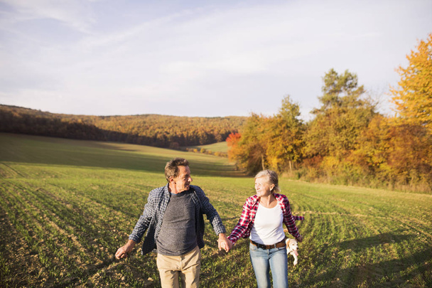 Senior couple on a walk in an autumn nature. - Foto, immagini