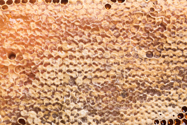 Sötét szelet mézes viasz - Fotó, kép