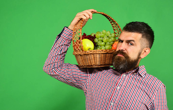Man with beard carries basket with fruit isolated on green background. Farmer with suspicious face presents apples, grapes and cranberries. Guy holds homegrown harvest. Farming and gardening concept. - Φωτογραφία, εικόνα