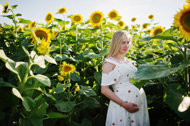 Блондинка вагітна мати на полі соняшнику. Щасливі миті вагітності
. - Фото, зображення