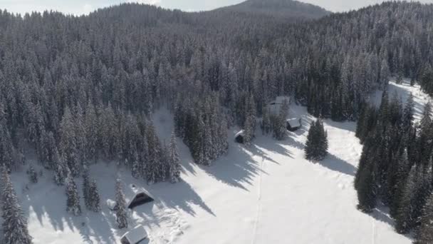 航空写真: 新鮮な白い雪の毛布で覆われたトウヒ密林で伝統的な高山小屋の上を飛んでください。美しいスキー リゾートの高原の魅力的な野生の冬不思議の国のクリスマスと休日の時間 - 映像、動画