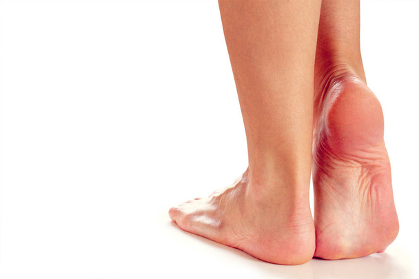 female feet stand on their toes - Foto, Imagen