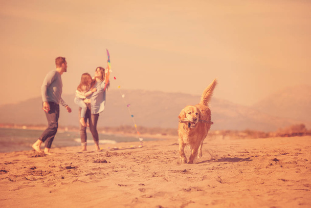 happy young family with kids having fun with a dog and  kite at beach during autumn day filter - Photo, Image