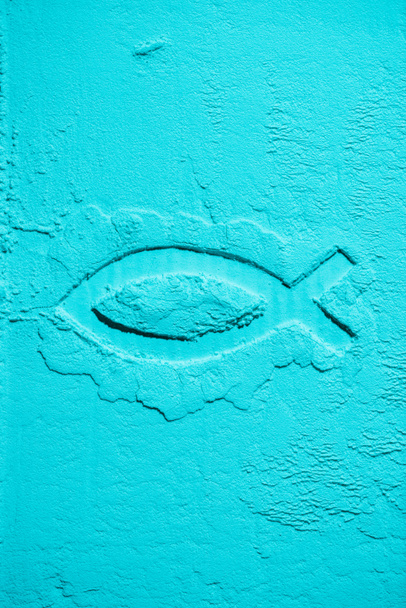top view of fish symbol in blue flour texture - Foto, afbeelding