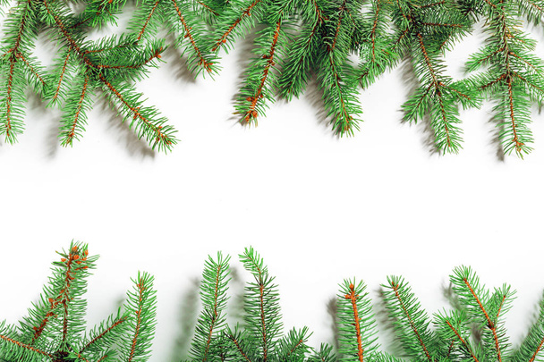 Fir branches isolated on white background - Fotografie, Obrázek