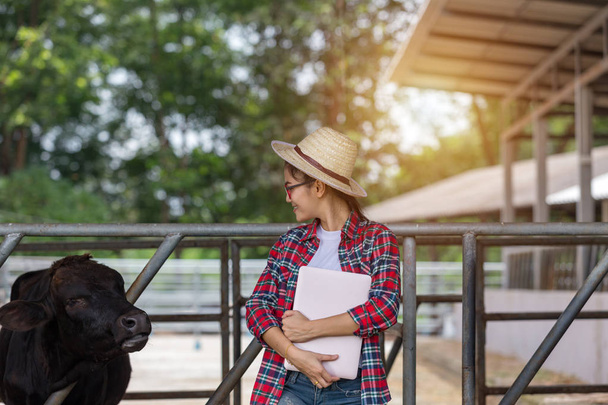 Χαριτωμένο Απολαύστε ο αγρότης νεαρής ηλικίας με αγελάδα σε φάρμα έλεγχος των ζώων  - Φωτογραφία, εικόνα