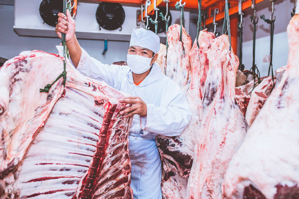 Slagers werken in het genezen van het vlees. Gelukkig voor de slager Thais-Frans rundvlees - Foto, afbeelding