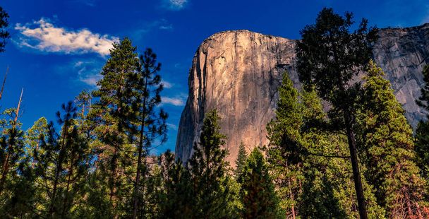 World famous rock climbing wall of El Capitan, Yosemite national park, California, сша - Фото, изображение