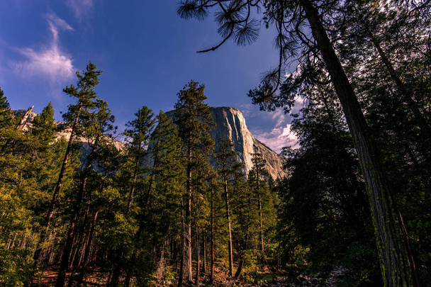 El Capitan 'ın dünyaca ünlü kaya tırmanışı duvarı, Yosemite Ulusal Parkı, Kaliforniya, ABD - Fotoğraf, Görsel