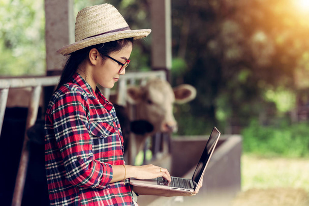 Conceito da indústria agrícola mulher jovem que trabalha em gado de fazenda de vaca. Usando laptop verificação de qualidade na fazenda
 - Foto, Imagem