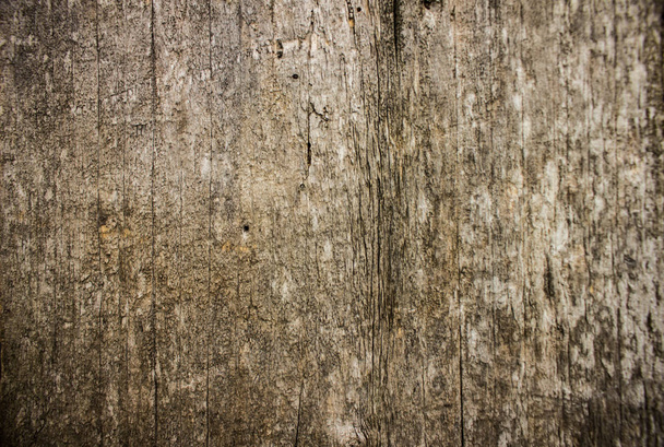 Tree. Background image. The texture of the board. - Photo, Image
