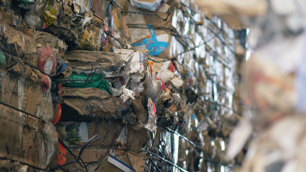 Poubelles en carton pressées collectées pour recyclage, fermer. Piles de déchets pressés dans une usine de recyclage
. - Séquence, vidéo