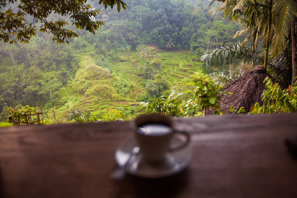 luwak のコーヒー。エキゾチックな旅行観光。赤道の残りの部分。インドネシア バリ島 - 写真・画像