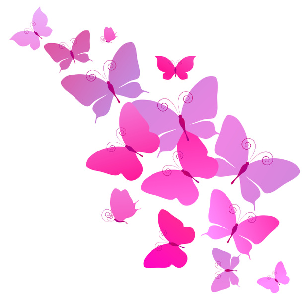 mooie roze vlinders, geïsoleerd op een witte - Foto, afbeelding