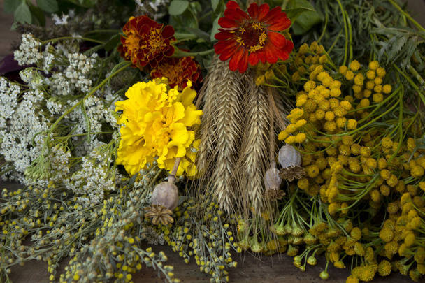 Tradiční květiny na ortodoxní křesťan dovolená - med lázně na 14 srpna. Léčivé pelyňku, žito, máku, Mochna husí, měsíčky a další rostliny - Fotografie, Obrázek