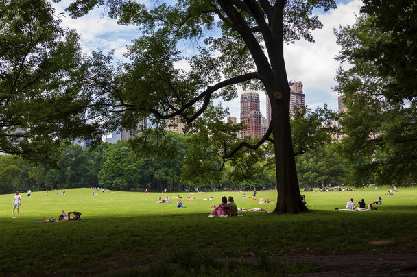 Νέα Υόρκη, ΗΠΑ - Ιούνιος 6, 2010: Άνθρωποι που απολαμβάνουν μια ηλιόλουστη ημέρα στο κεντρικό πάρκο με τον ορίζοντα της Νέας Υόρκης στο παρασκήνιο, στην πόλη της Νέας Υόρκης, Ηνωμένες Πολιτείες. - Φωτογραφία, εικόνα
