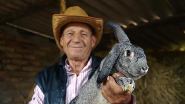 Ein älterer Bauer mit Strohhut hält ein großes graues Kaninchen in der Hand. Porträt eines Mannes im Hintergrund von Heu - Filmmaterial, Video