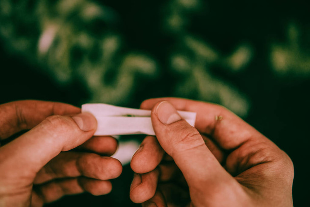 RollJoint mit Marihuana vor dem Hintergrund frischer, launiger Grüntöne - Foto, Bild