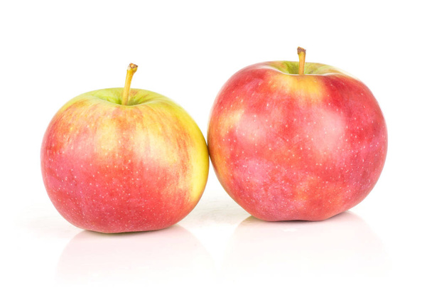Group of two whole glossy fresh red apple james grieve variety isolated on white background - Fotografie, Obrázek