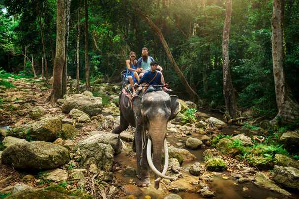 tourist couple riding elephant through thai jungle by river on koh samui thailand - Foto, Imagem