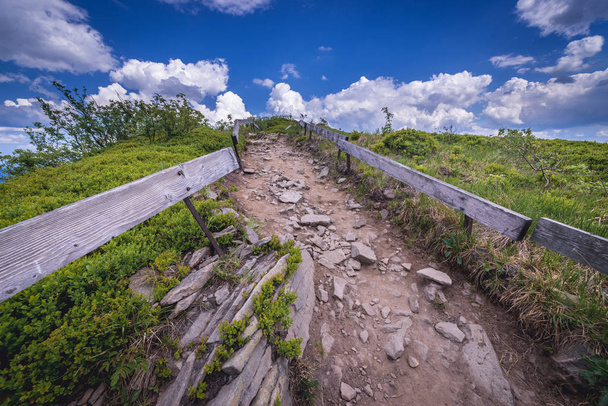 Wandelen pad naar Osadzki Wierch berg in Bieszczadzki Nationaal Park, Subcarpathian Voivodeship van Polen - Foto, afbeelding