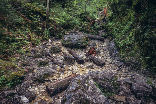 Rocks in Monastery Gorge in Slovak Paradise mountain range in Slovakia - Fotó, kép