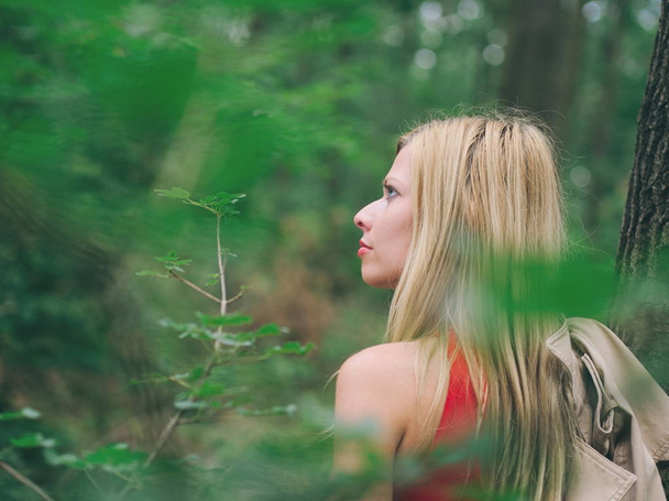 Блондинка с красным платьем в дубовом лесу в летний день
 - Фото, изображение