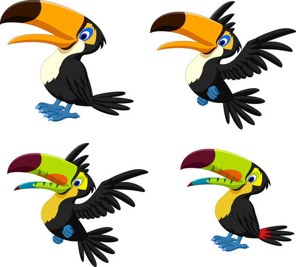 Cartoon toucan collection set - Vector, Image
