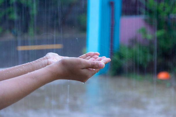 Close up di donna mettendo la mano sotto la pioggia cattura gocce di pioggia, acqua Concetto
. - Foto, immagini