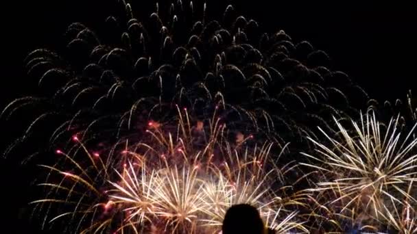 Mensen kijken naar het vuurwerk in de nachtelijke hemel en schieten op de telefoon, een veelkleurige salute ter ere van de vakantie - Video