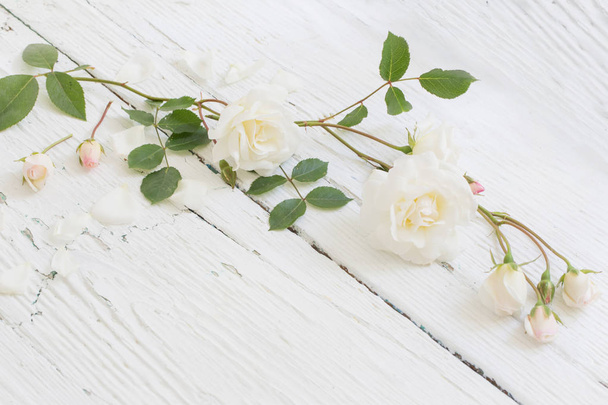 roses on white wooden background - Фото, изображение