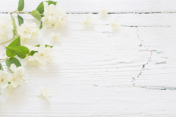jasmine on white wooden background - Фото, изображение