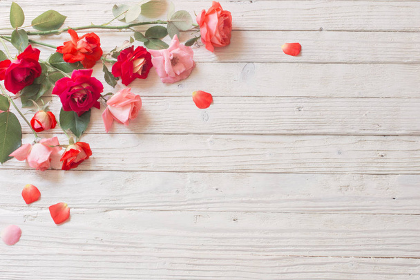 roses on white wooden background - Fotografie, Obrázek