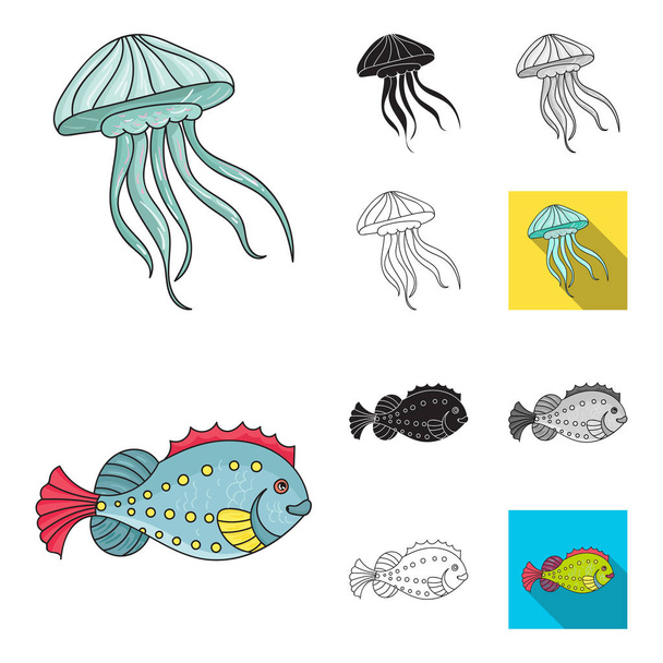 A variety of marine animals cartoon,black,flat,monochrome,outline icons in set collection for design. Fish and shellfish vector symbol stock web illustration. - Vektor, obrázek