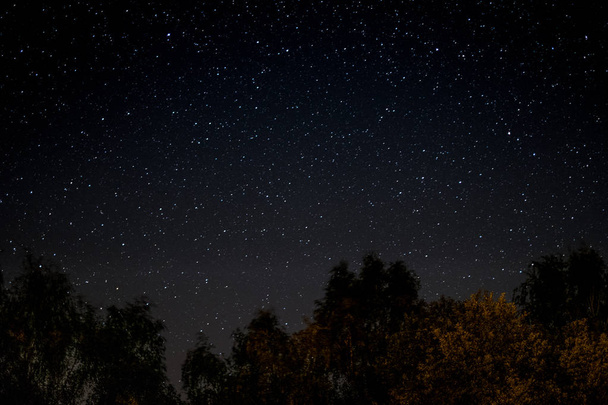 Yıldızlı gökyüzü geceleyin - ağaçlar ve yıldızlar  - - Fotoğraf, Görsel