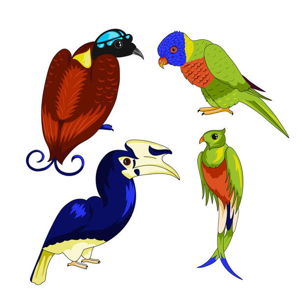 Conjunto de aves exóticas
 - Vector, Imagen