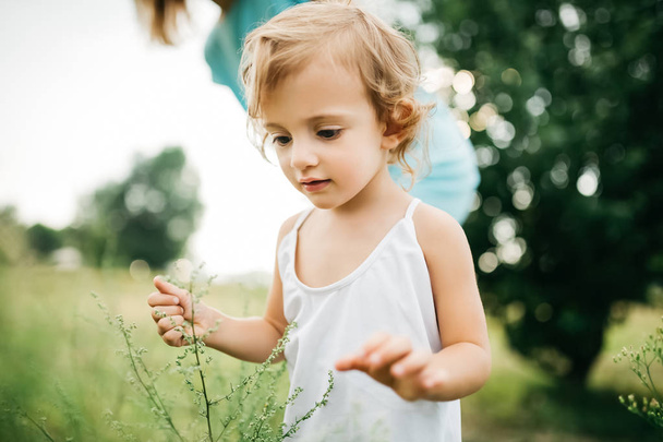 abgeschnittenes Bild von Kind, das Zweige im Feld berührt - Foto, Bild