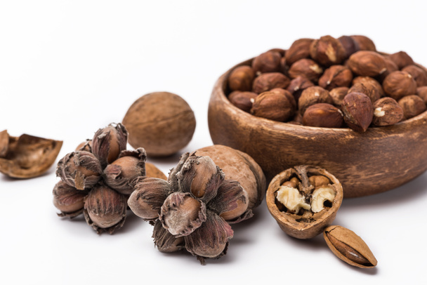 hazelnuts in wooden bowl near walnuts and almond isolated on white background - Photo, Image