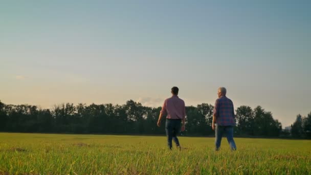 Back view of adult son and old father going away on straw field during harvest season, beautiful view of nature during sunset - Imágenes, Vídeo