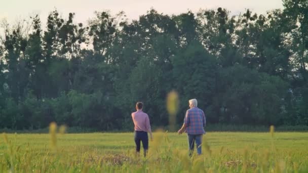 Back view of old father and adult son walking forward on wheat field, deep green forest in background, harvest season - Кадры, видео
