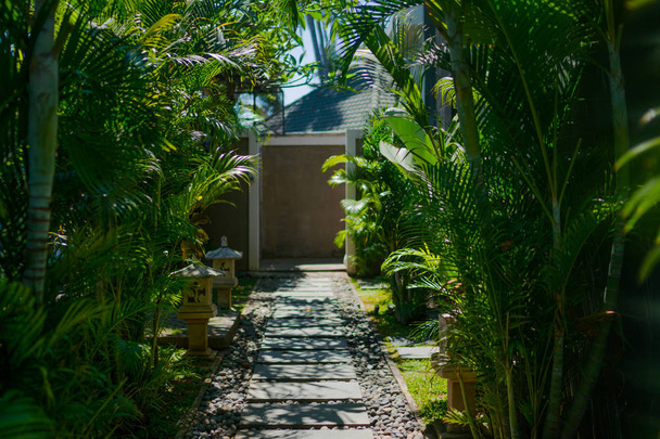 Pathway and luxury resort in tropical garden. Abstract travel background. Beach luxury bungalow surrounded by jungle. Flowers and palm trees. Travel, vacation, summer holiday concept. Soft focus. - Fotoğraf, Görsel