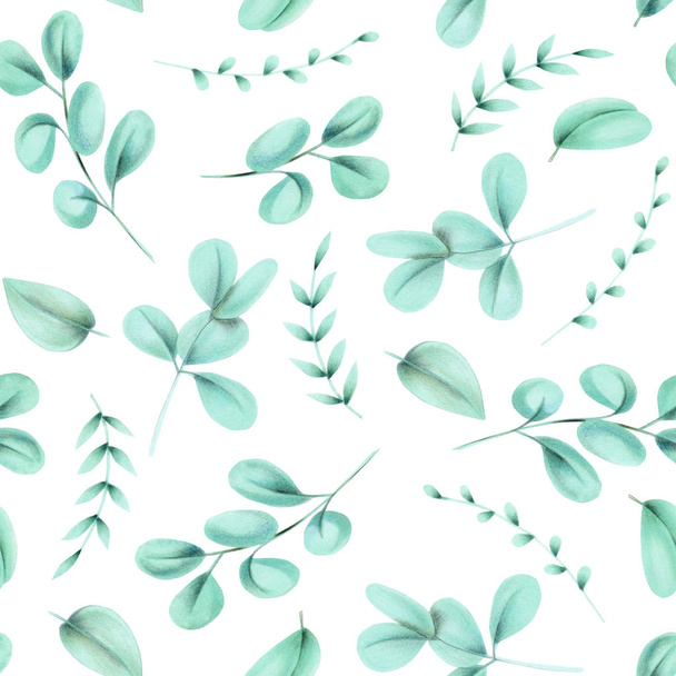 Seamless floral pattern with eucalyptus branches, hand drawn isolated on a white background - Foto, Imagem