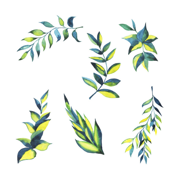 Yellow and green leaves on white background - Vector, Imagen