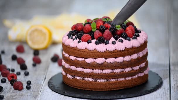 Cutting beautiful chocolate cake with fresh berry. - Footage, Video