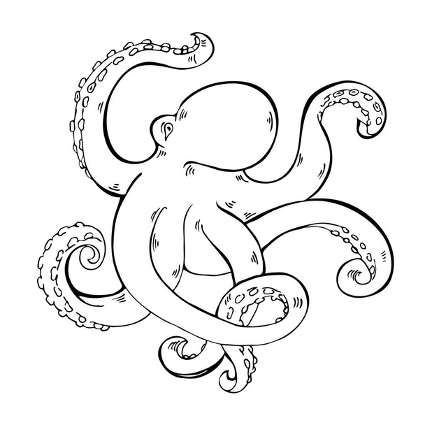 Octopus sketch drawn by ink. Hand drawn vector illustration. - Vektör, Görsel