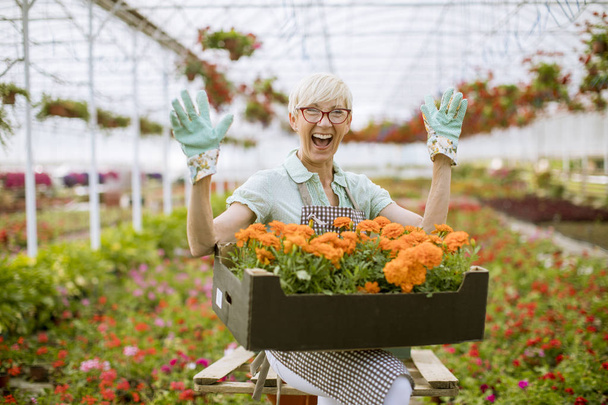 Mujer mayor sosteniendo cesta llena de flores en invernadero
 - Foto, Imagen